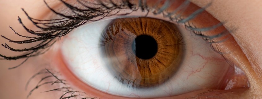 Human eye with reflection. Macro shot with shallow depth of field.