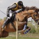 iStock_000001678369_Eventing