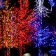 Trees-wrapped-in-LED-lights-for-Christmas-000054950954_Full 1024 (2)