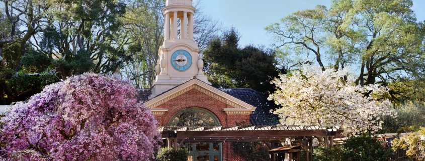 clock-tower-shop-2